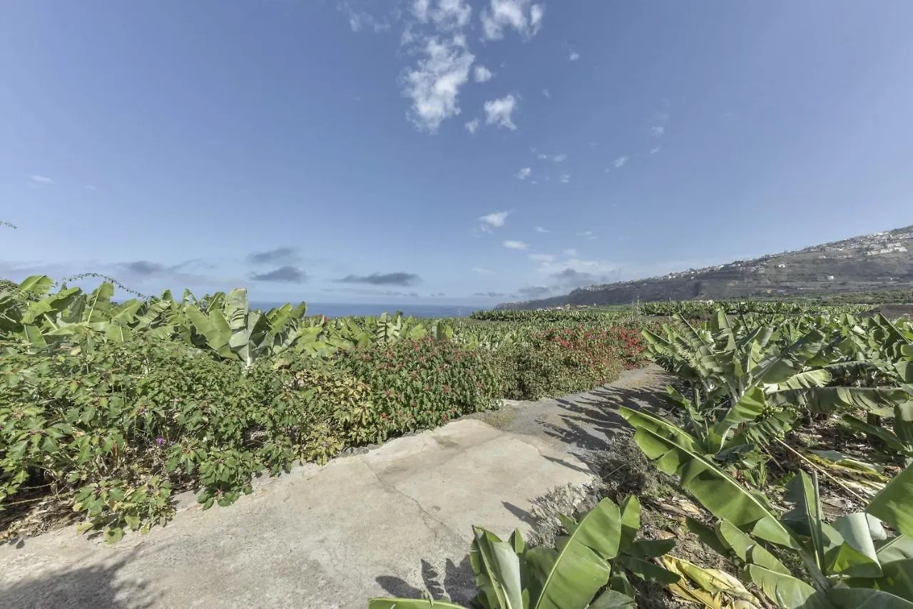Сasa de vacaciones La Casita de Los Orovales Puerto de la Cruz